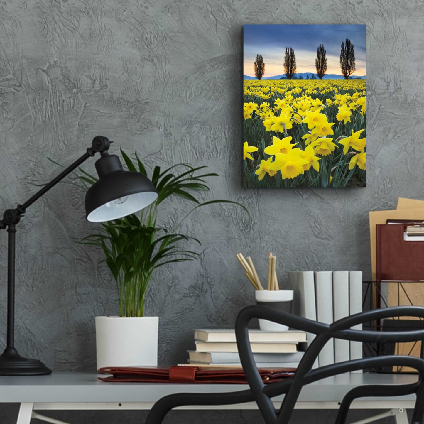 Epic Art 'Skagit Valley Daffodils I' by Alan Majchrowicz, Acrylic Glass Wall Art,12x16