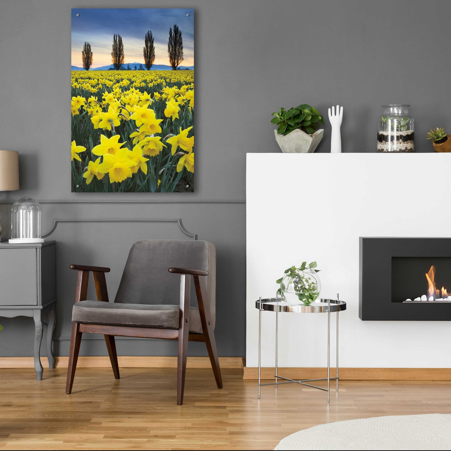 Epic Art 'Skagit Valley Daffodils I' by Alan Majchrowicz, Acrylic Glass Wall Art,24x36