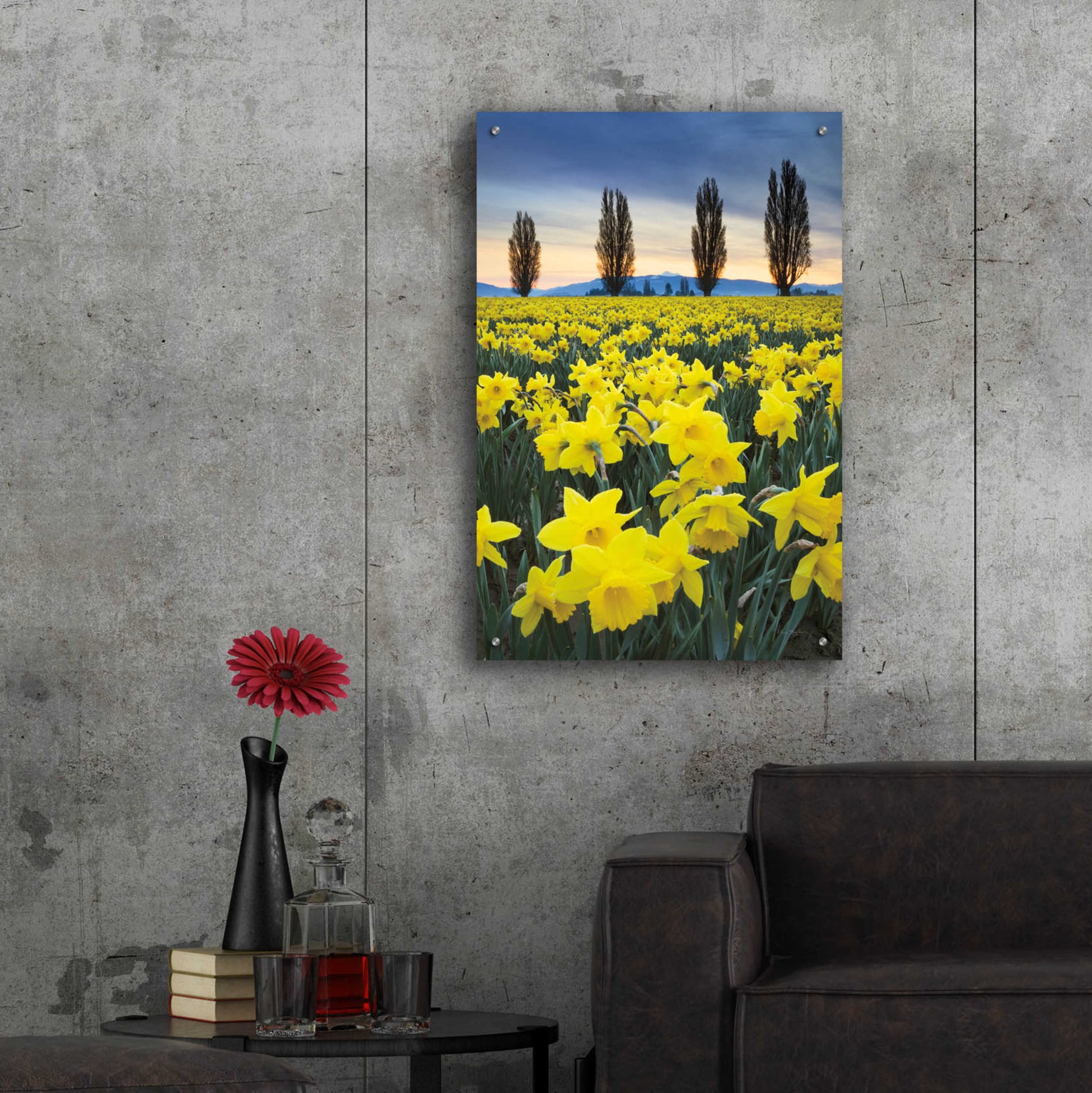 Epic Art 'Skagit Valley Daffodils I' by Alan Majchrowicz, Acrylic Glass Wall Art,24x36