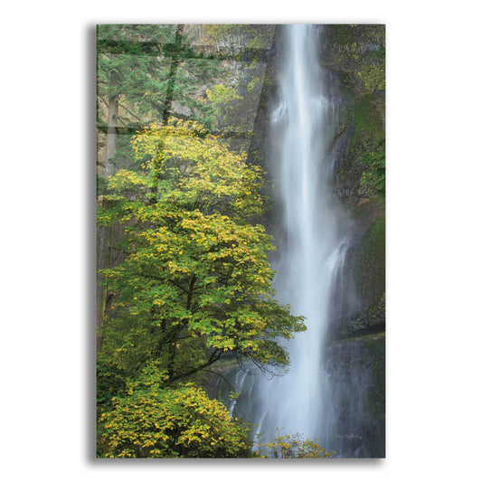 Epic Art 'Multnomah Falls color' by Alan Majchrowicz, Acrylic Glass Wall Art