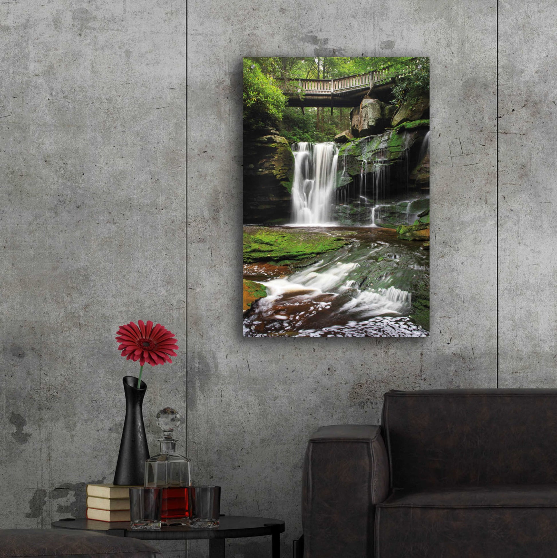 Epic Art 'Elakala Falls West I' by Alan Majchrowicz, Acrylic Glass Wall Art,24x36