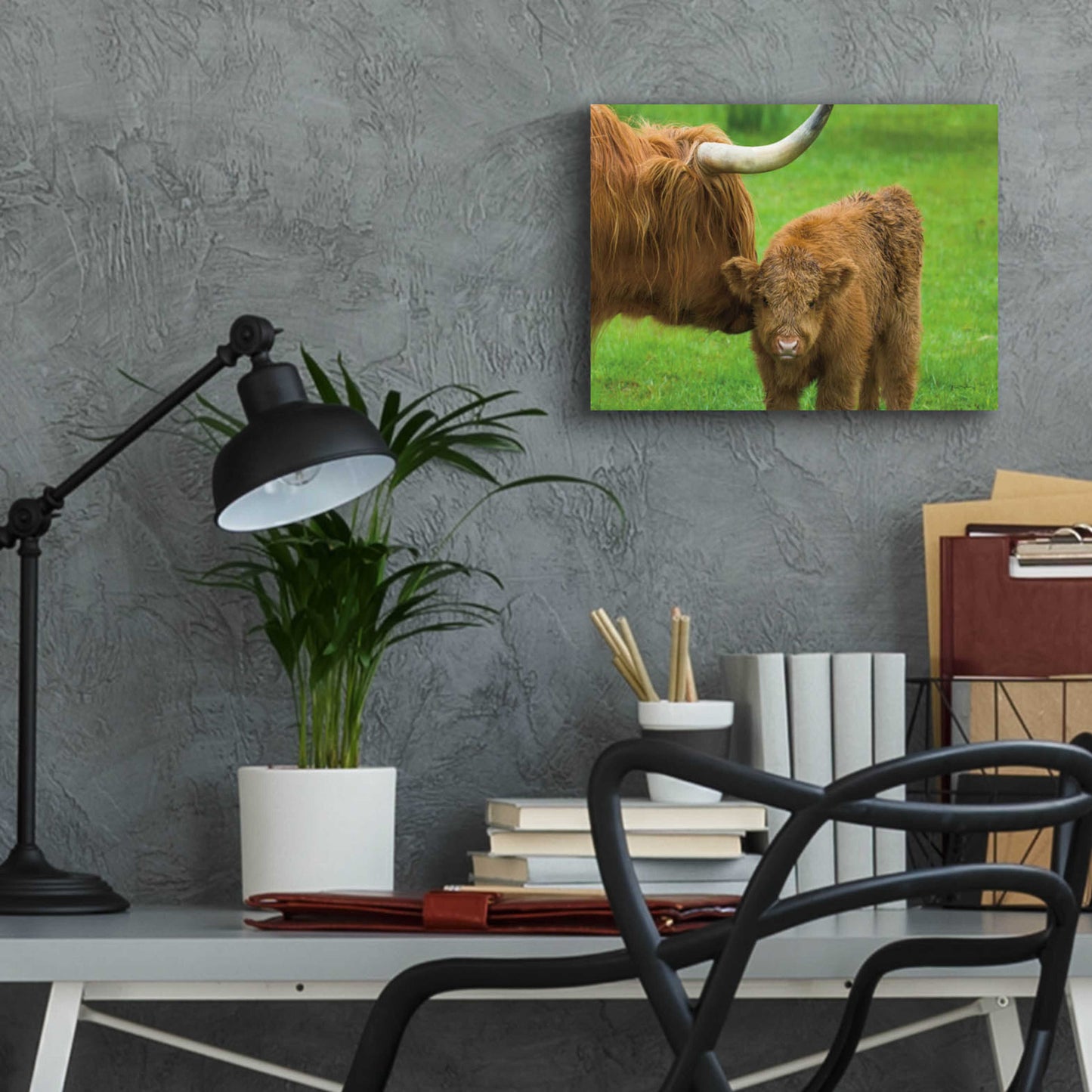 Epic Art 'Scottish Highland Cattle VII' by Alan Majchrowicz, Acrylic Glass Wall Art,16x12