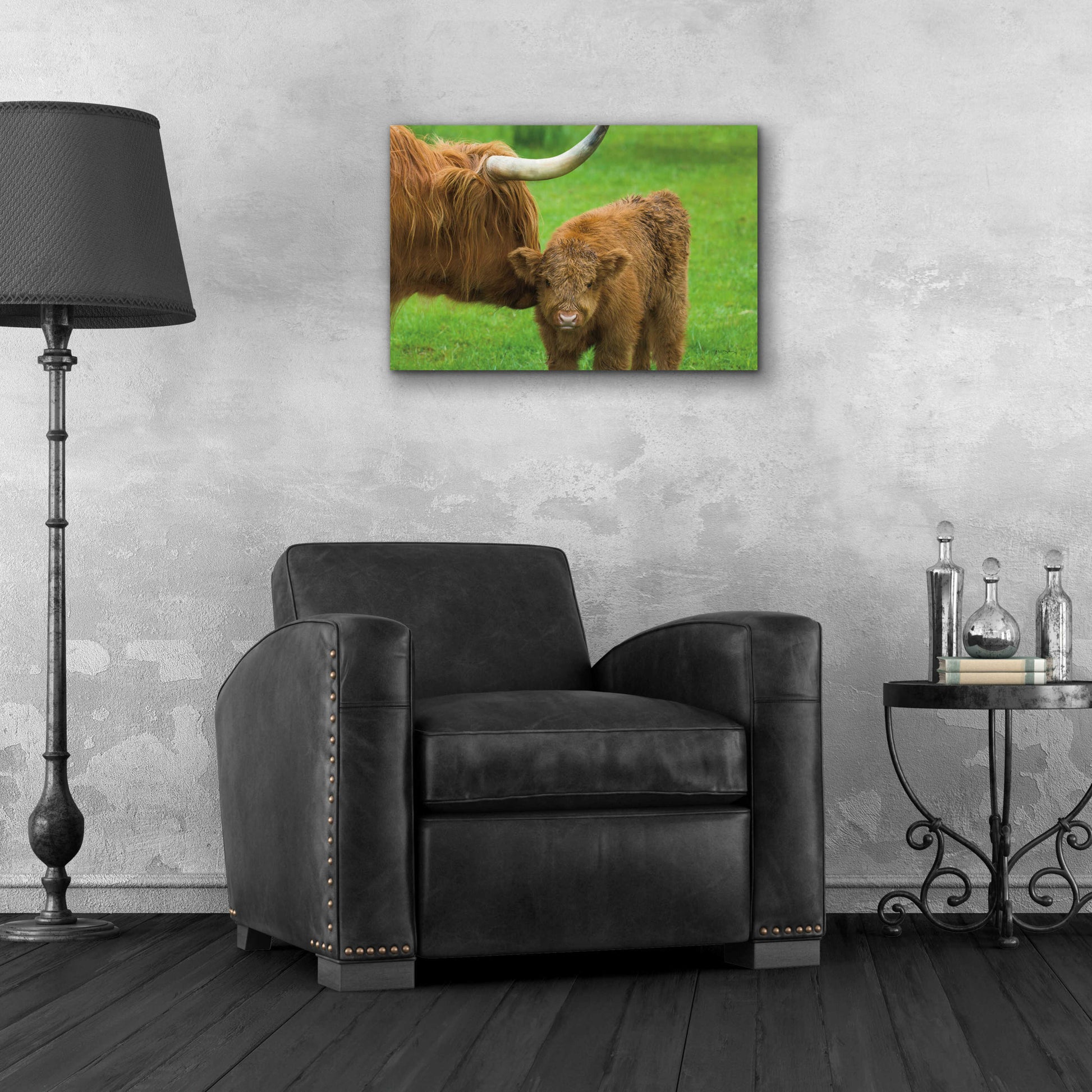 Epic Art 'Scottish Highland Cattle VII' by Alan Majchrowicz, Acrylic Glass Wall Art,24x16