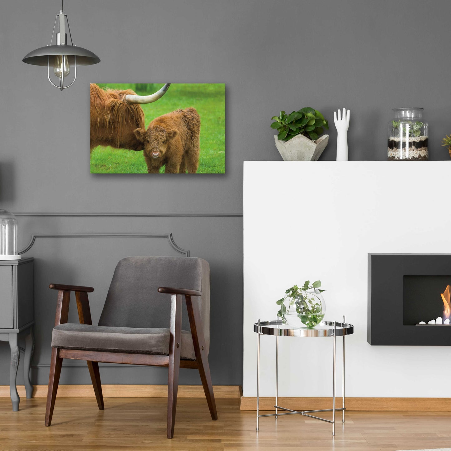 Epic Art 'Scottish Highland Cattle VII' by Alan Majchrowicz, Acrylic Glass Wall Art,24x16