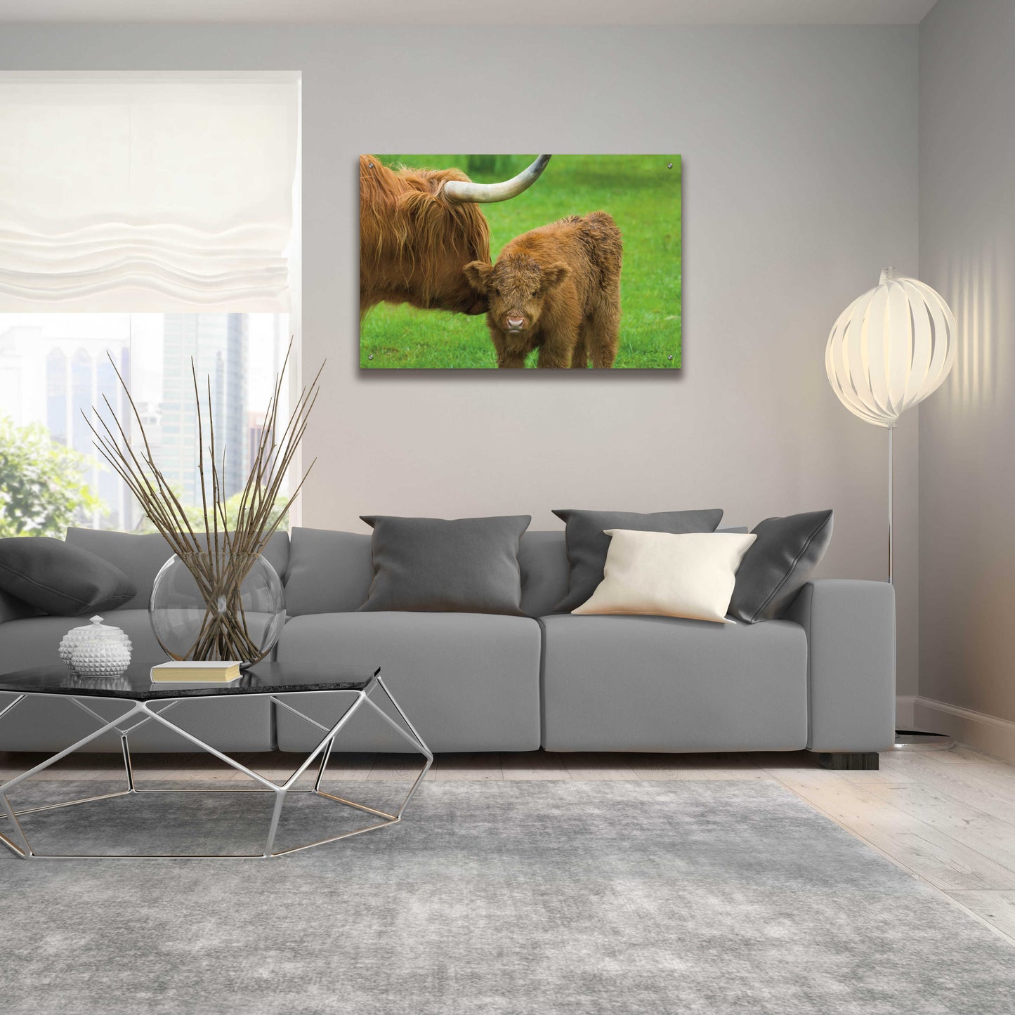 Epic Art 'Scottish Highland Cattle VII' by Alan Majchrowicz, Acrylic Glass Wall Art,36x24