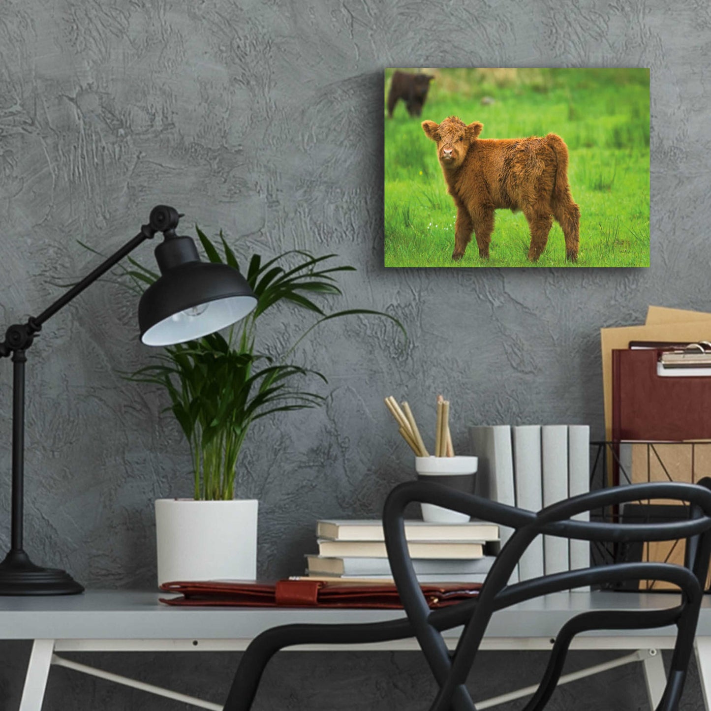 Epic Art 'Scottish Highland Cattle X' by Alan Majchrowicz, Acrylic Glass Wall Art,16x12