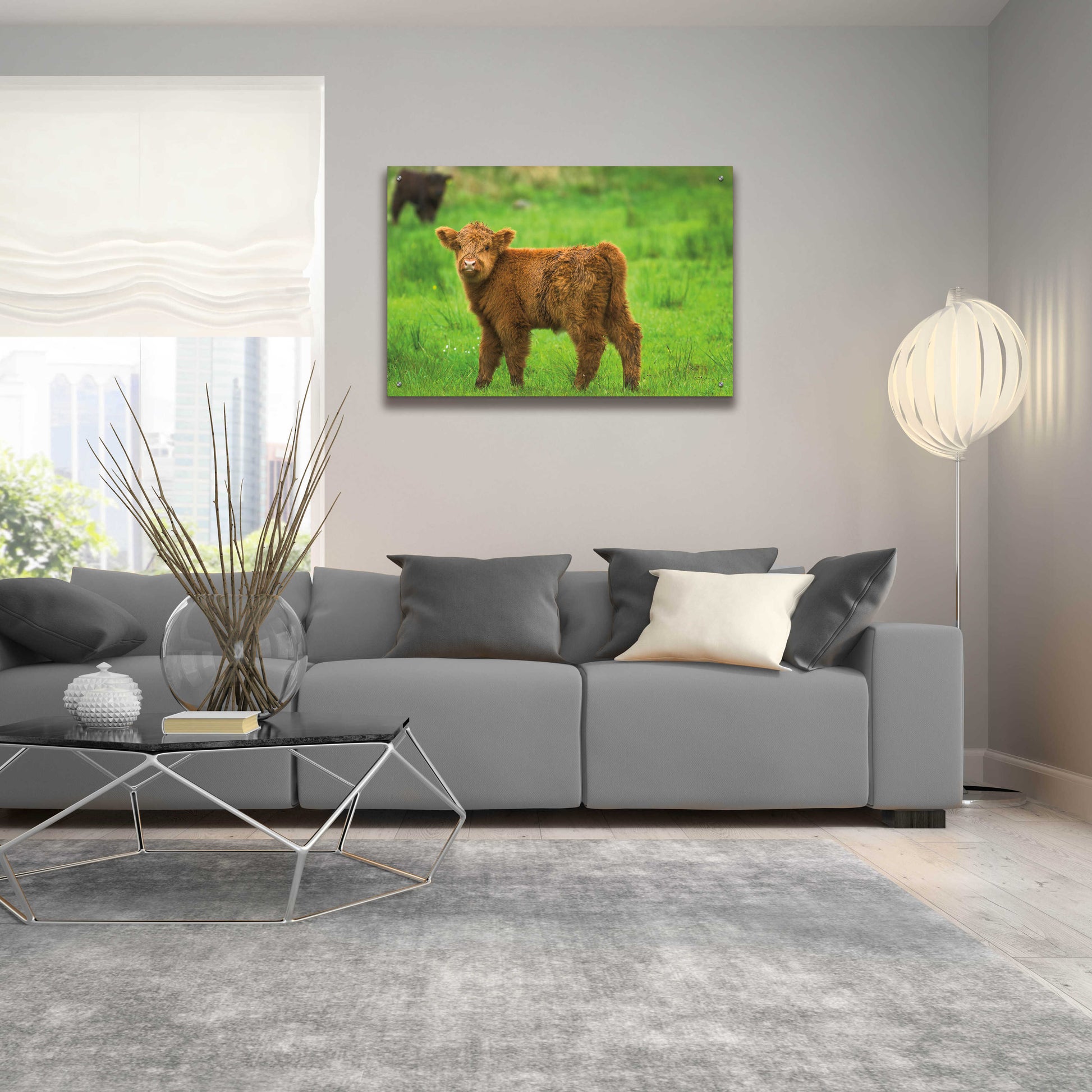 Epic Art 'Scottish Highland Cattle X' by Alan Majchrowicz, Acrylic Glass Wall Art,36x24