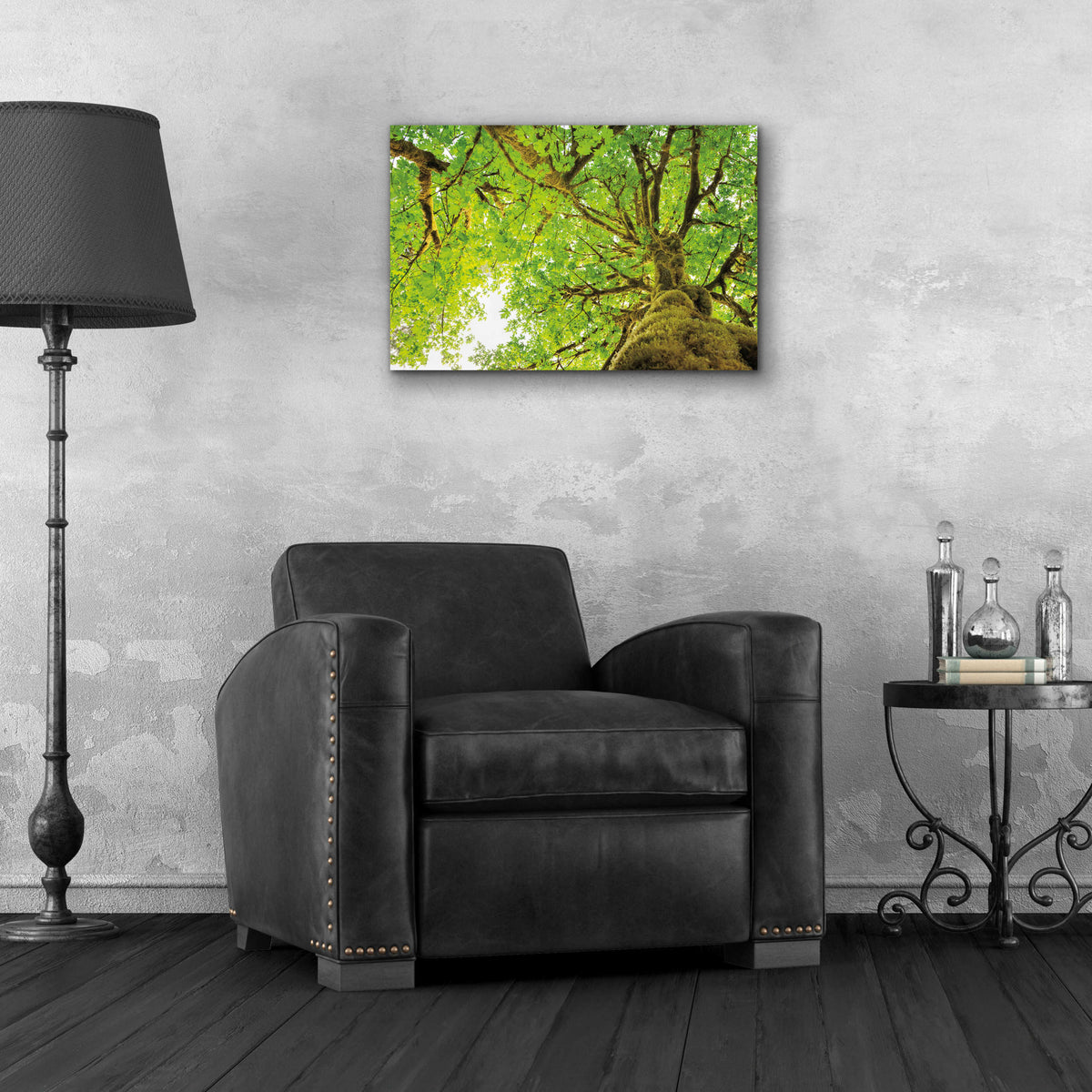 Epic Art 'Big Leaf Maple Trees II' by Alan Majchrowicz, Acrylic Glass Wall Art,24x16