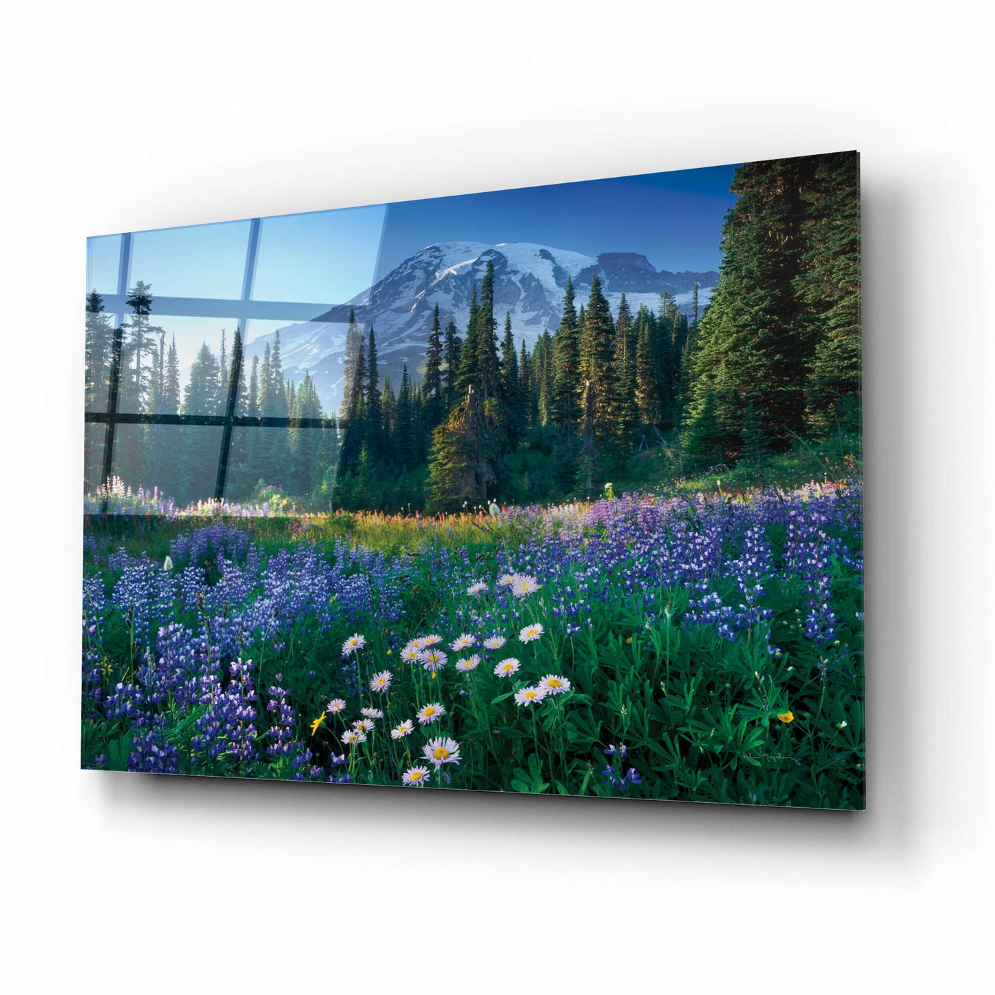 Epic Art 'Mount Rainier' by Alan Majchrowicz, Acrylic Glass Wall Art,16x12