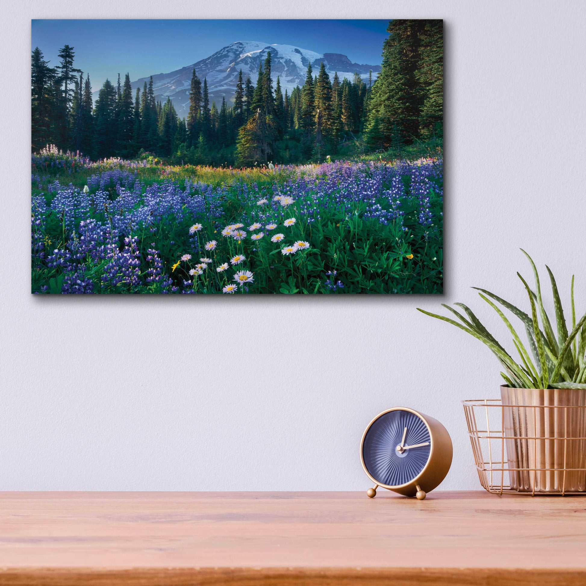 Epic Art 'Mount Rainier' by Alan Majchrowicz, Acrylic Glass Wall Art,16x12