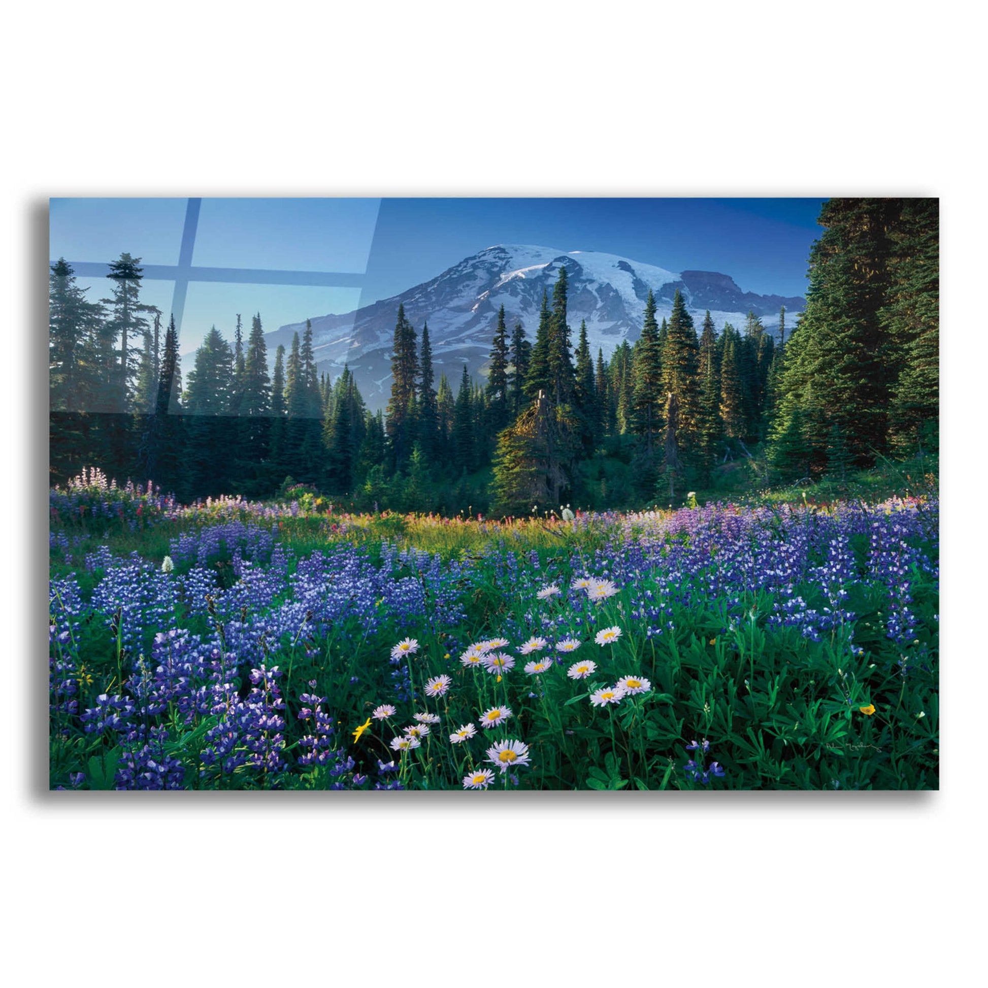 Epic Art 'Mount Rainier' by Alan Majchrowicz, Acrylic Glass Wall Art,16x12