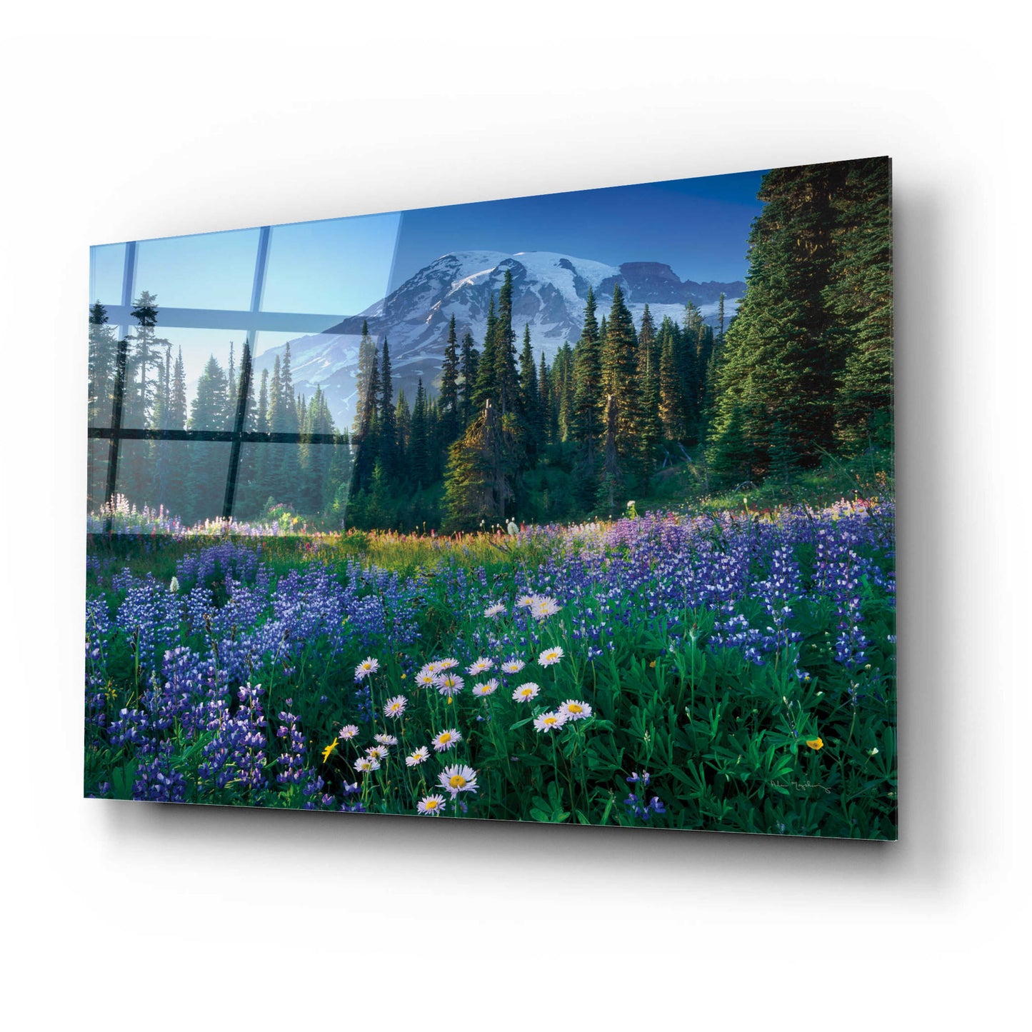 Epic Art 'Mount Rainier' by Alan Majchrowicz, Acrylic Glass Wall Art,24x16