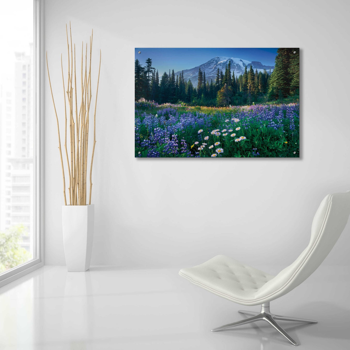 Epic Art 'Mount Rainier' by Alan Majchrowicz, Acrylic Glass Wall Art,36x24