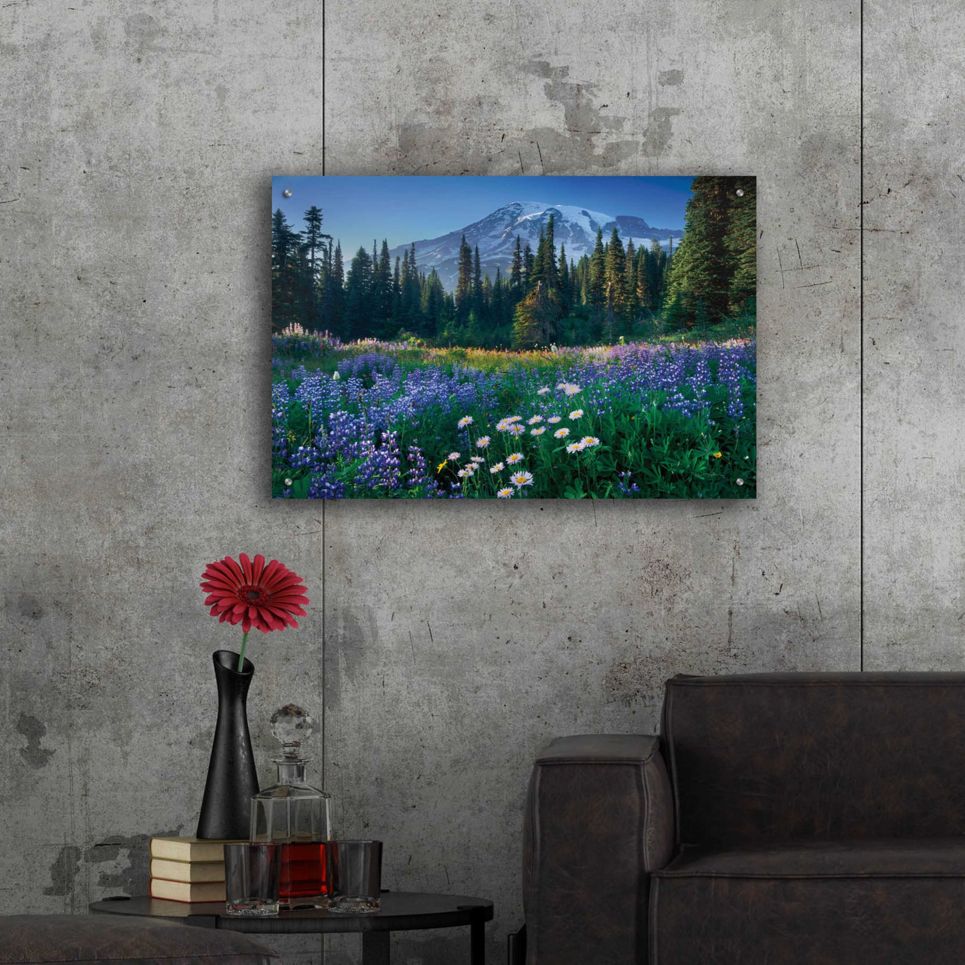 Epic Art 'Mount Rainier' by Alan Majchrowicz, Acrylic Glass Wall Art,36x24