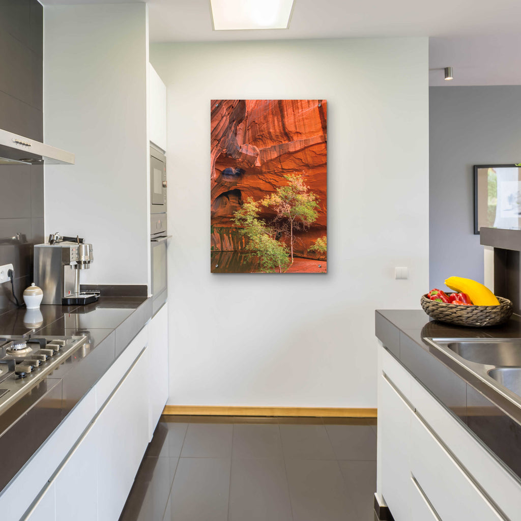 Epic Art 'Neon Canyon III' by Alan Majchrowicz, Acrylic Glass Wall Art,24x36