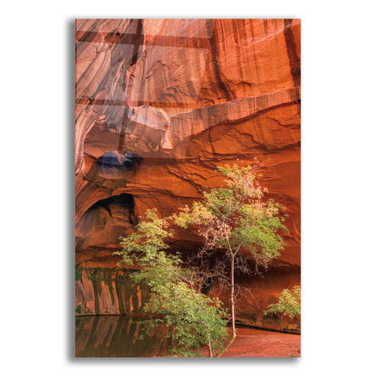 Epic Art 'Neon Canyon III' by Alan Majchrowicz, Acrylic Glass Wall Art