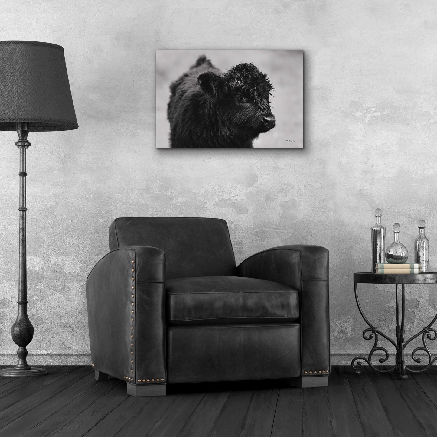 Epic Art 'Scottish Highland Cattle XI BW' by Alan Majchrowicz, Acrylic Glass Wall Art,24x16