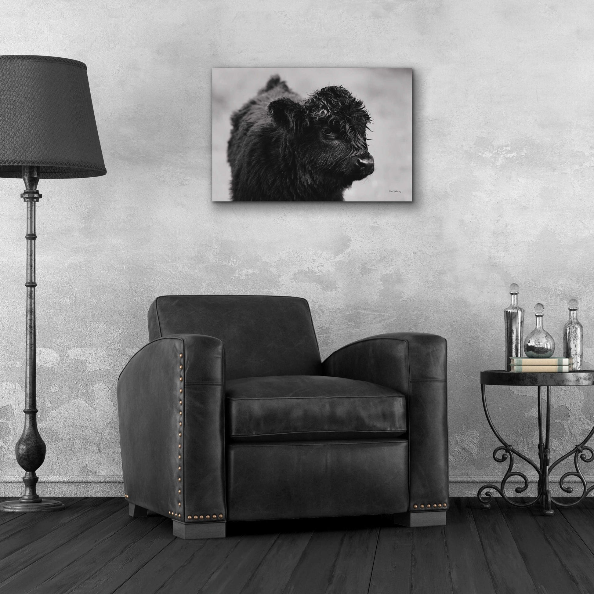 Epic Art 'Scottish Highland Cattle XI BW' by Alan Majchrowicz, Acrylic Glass Wall Art,24x16