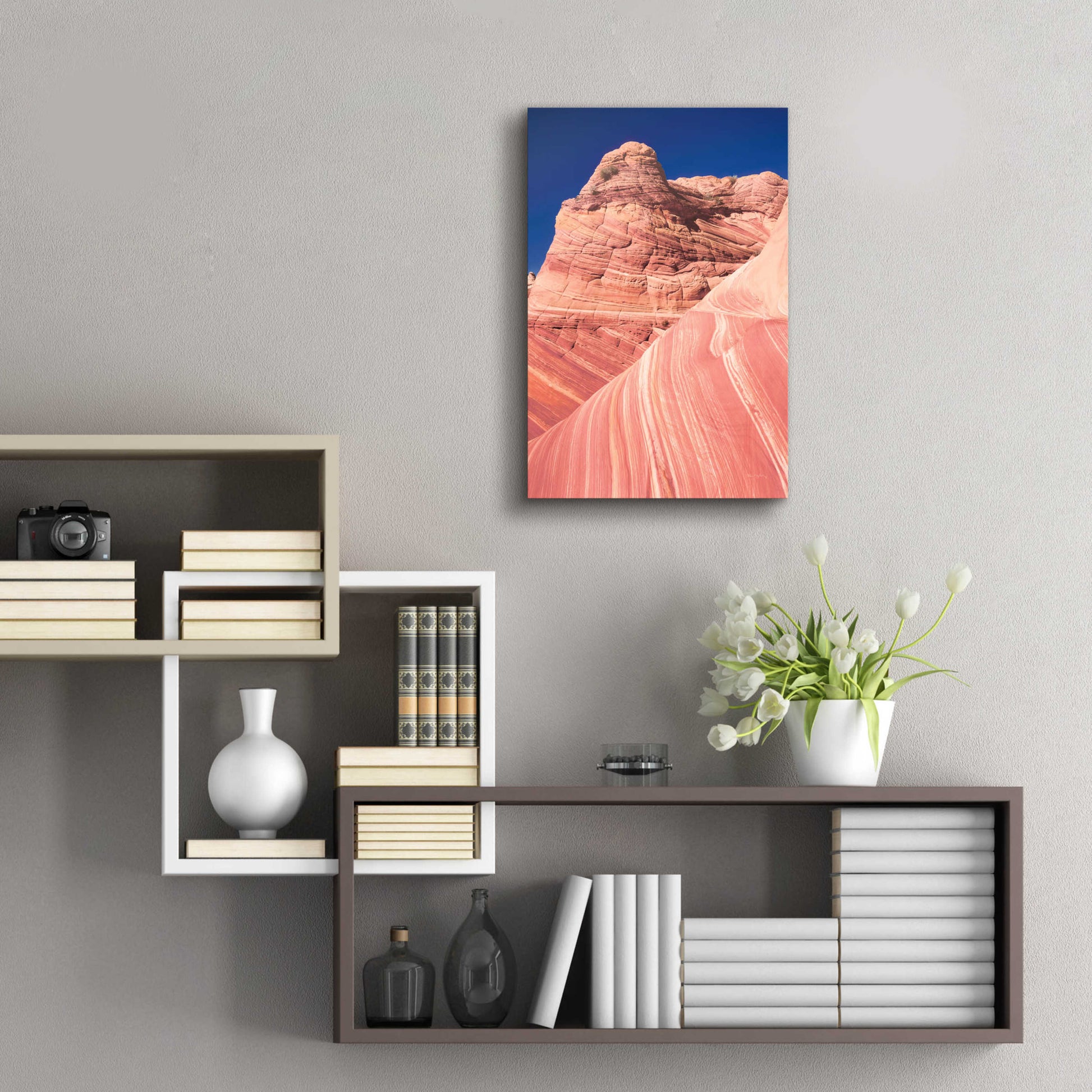 Epic Art 'Coyote Buttes I Blush' by Alan Majchrowicz, Acrylic Glass Wall Art,16x24