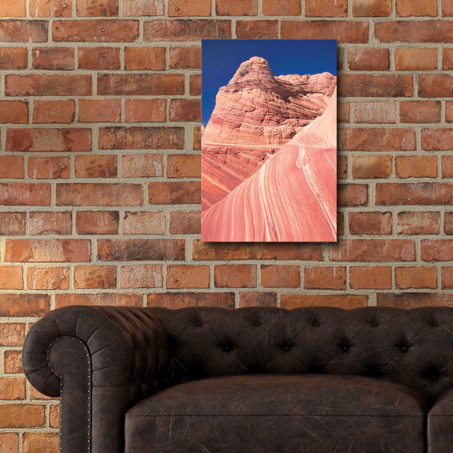 Epic Art 'Coyote Buttes I Blush' by Alan Majchrowicz, Acrylic Glass Wall Art,16x24