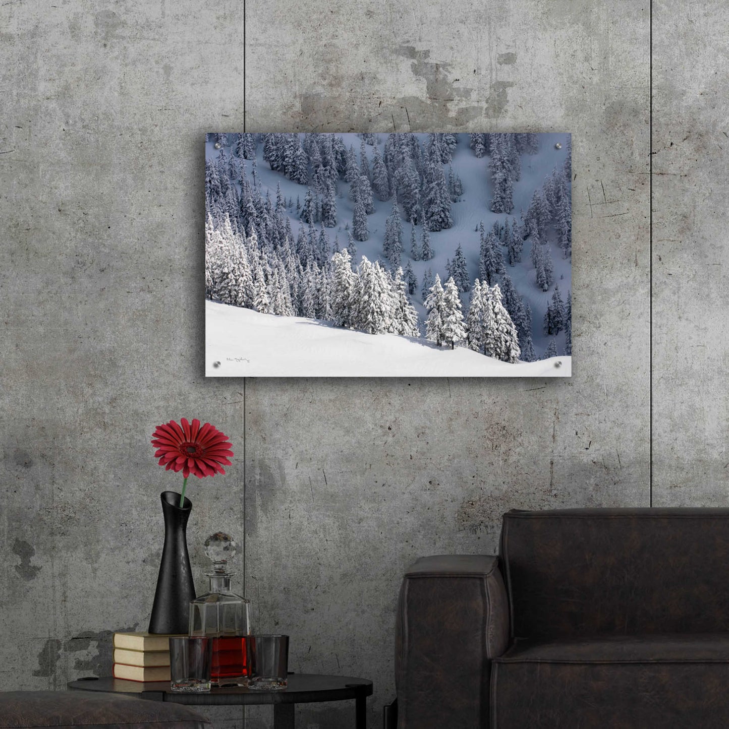 Epic Art 'North Cascades in Winter III' by Alan Majchrowicz, Acrylic Glass Wall Art,36x24