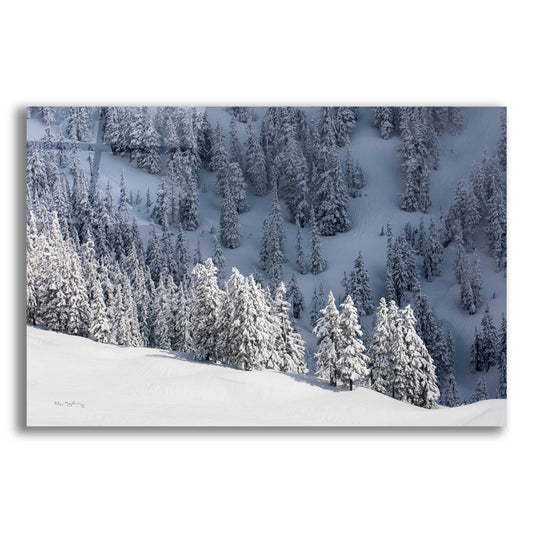 Epic Art 'North Cascades in Winter III' by Alan Majchrowicz, Acrylic Glass Wall Art