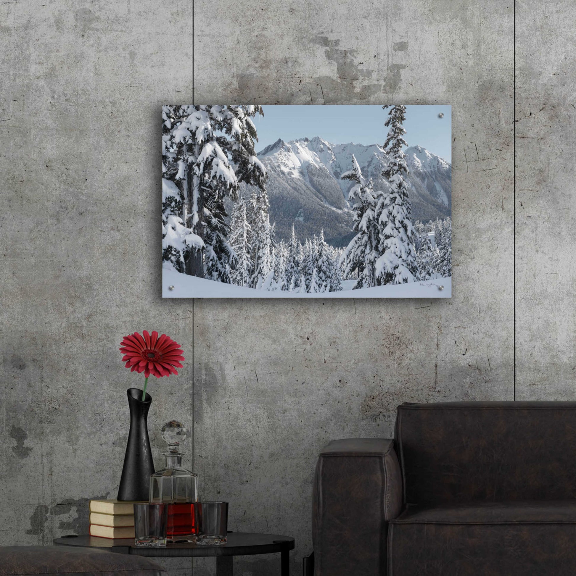 Epic Art 'Nooksack Ridge in Winter' by Alan Majchrowicz, Acrylic Glass Wall Art,36x24