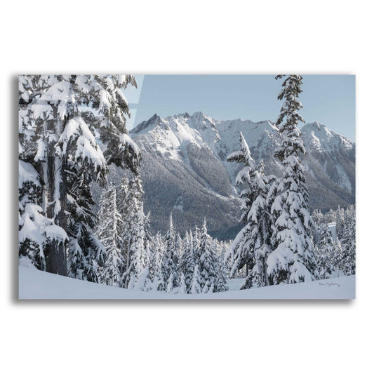 Epic Art 'Nooksack Ridge in Winter' by Alan Majchrowicz, Acrylic Glass Wall Art