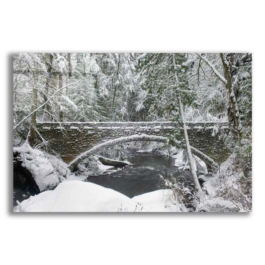 Epic Art 'Whatcom Creek Bridge' by Alan Majchrowicz, Acrylic Glass Wall Art
