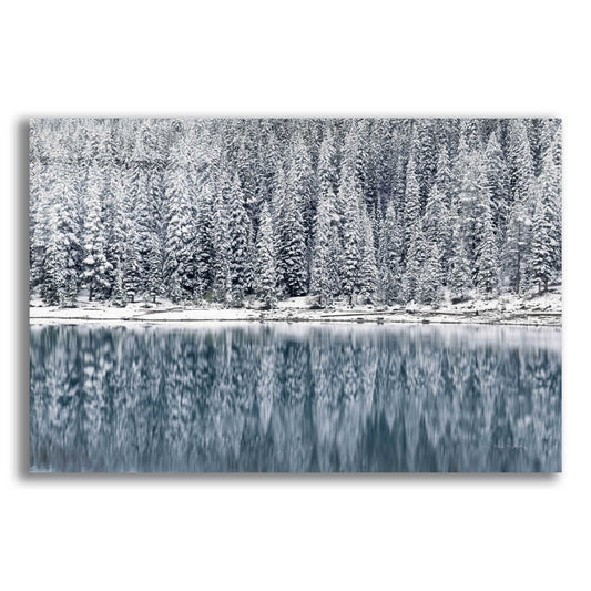 Epic Art 'Winter Reflections' by Alan Majchrowicz, Acrylic Glass Wall Art