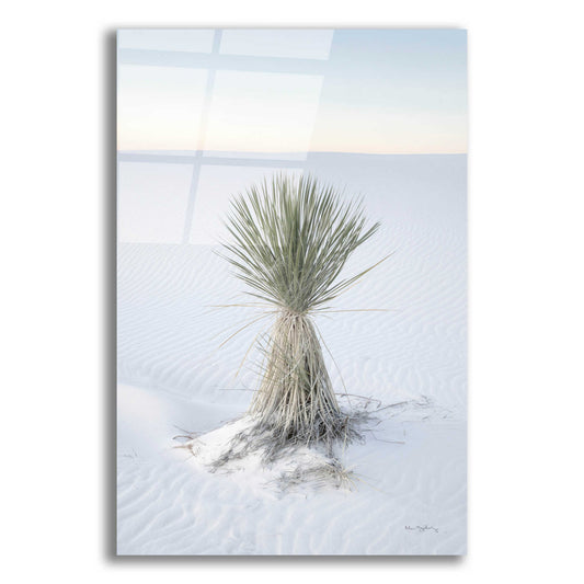 Epic Art 'Yucca in White Sands National Monument' by Alan Majchrowicz, Acrylic Glass Wall Art