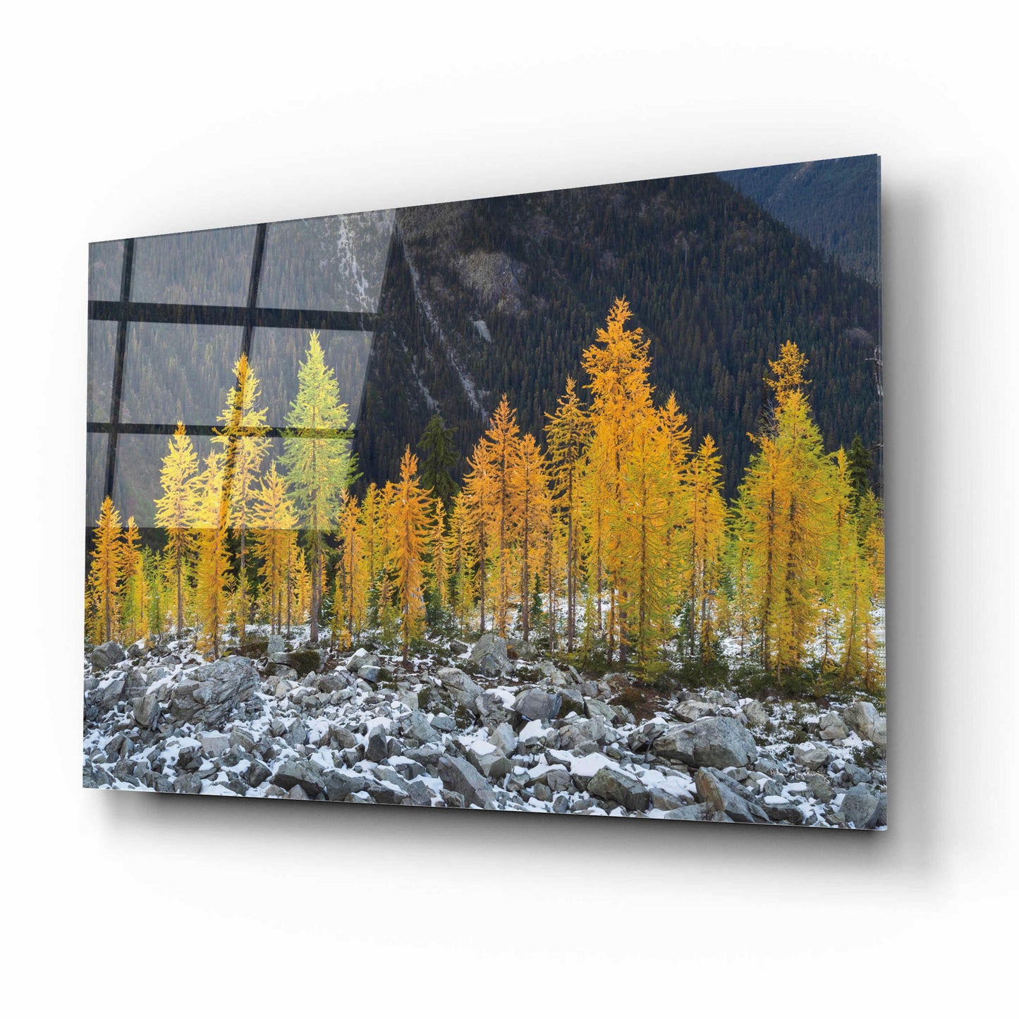 Epic Art 'Alpine Larches North Cascades' by Alan Majchrowicz, Acrylic Glass Wall Art,16x12