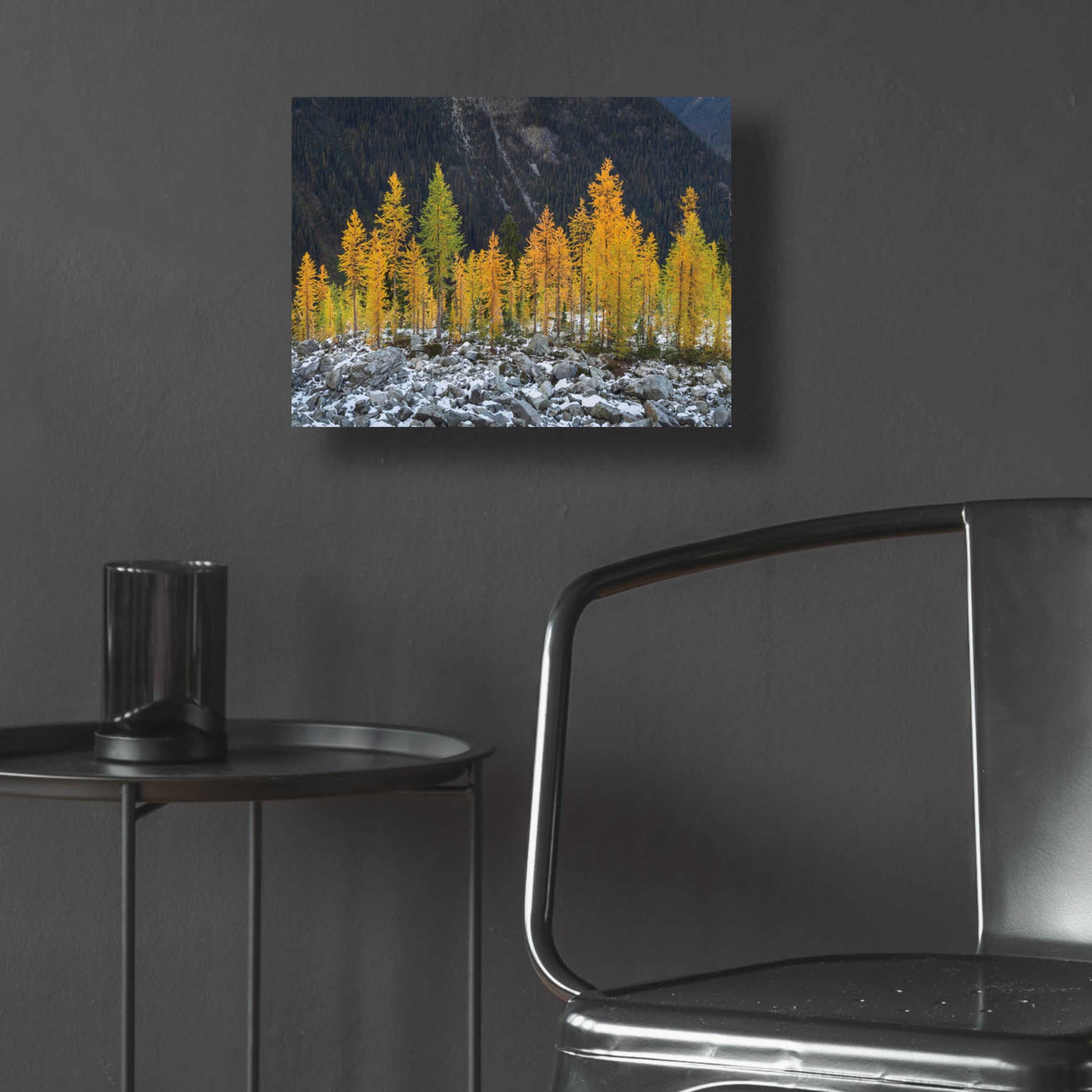 Epic Art 'Alpine Larches North Cascades' by Alan Majchrowicz, Acrylic Glass Wall Art,16x12