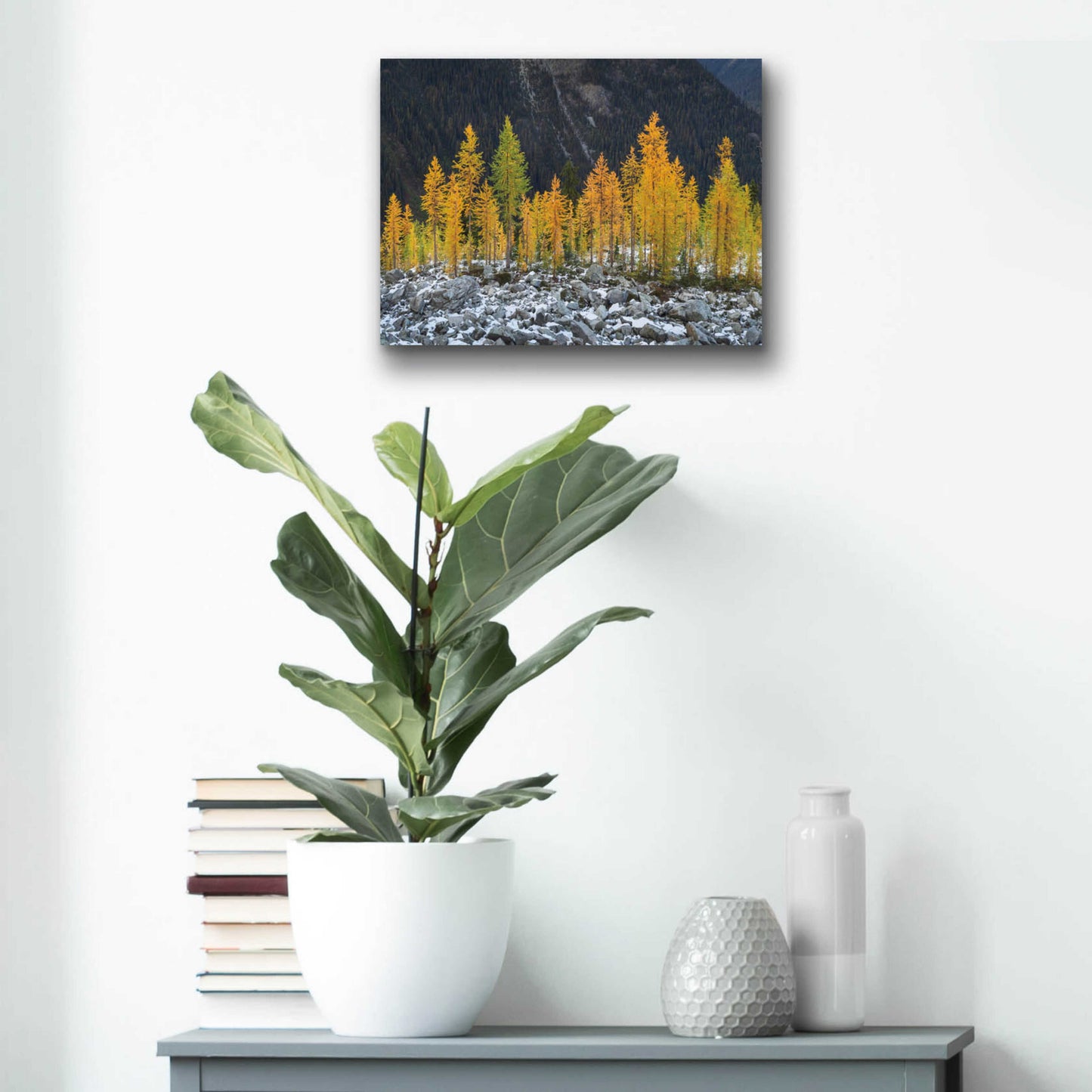 Epic Art 'Alpine Larches North Cascades' by Alan Majchrowicz, Acrylic Glass Wall Art,16x12