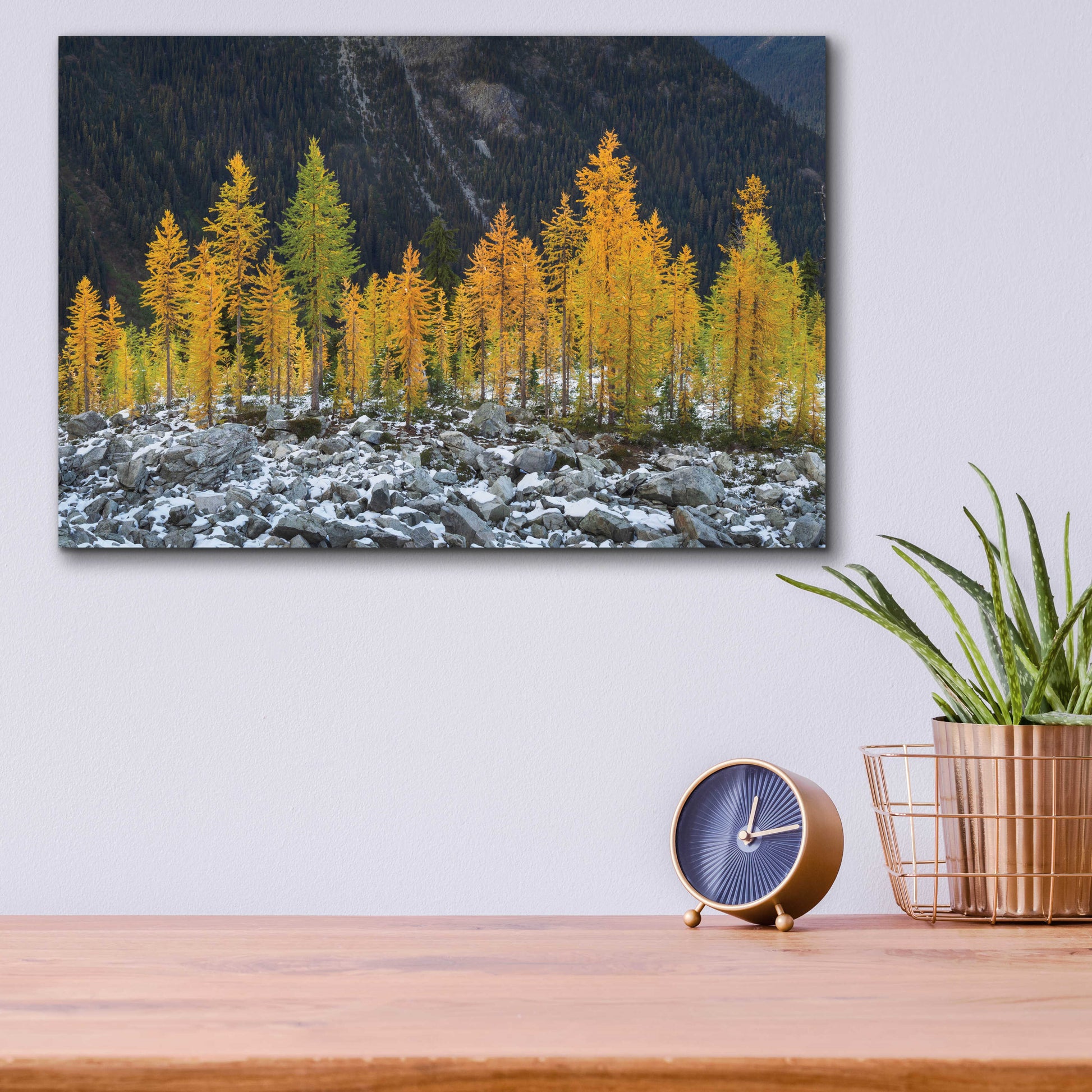 Epic Art 'Alpine Larches North Cascades' by Alan Majchrowicz, Acrylic Glass Wall Art,16x12