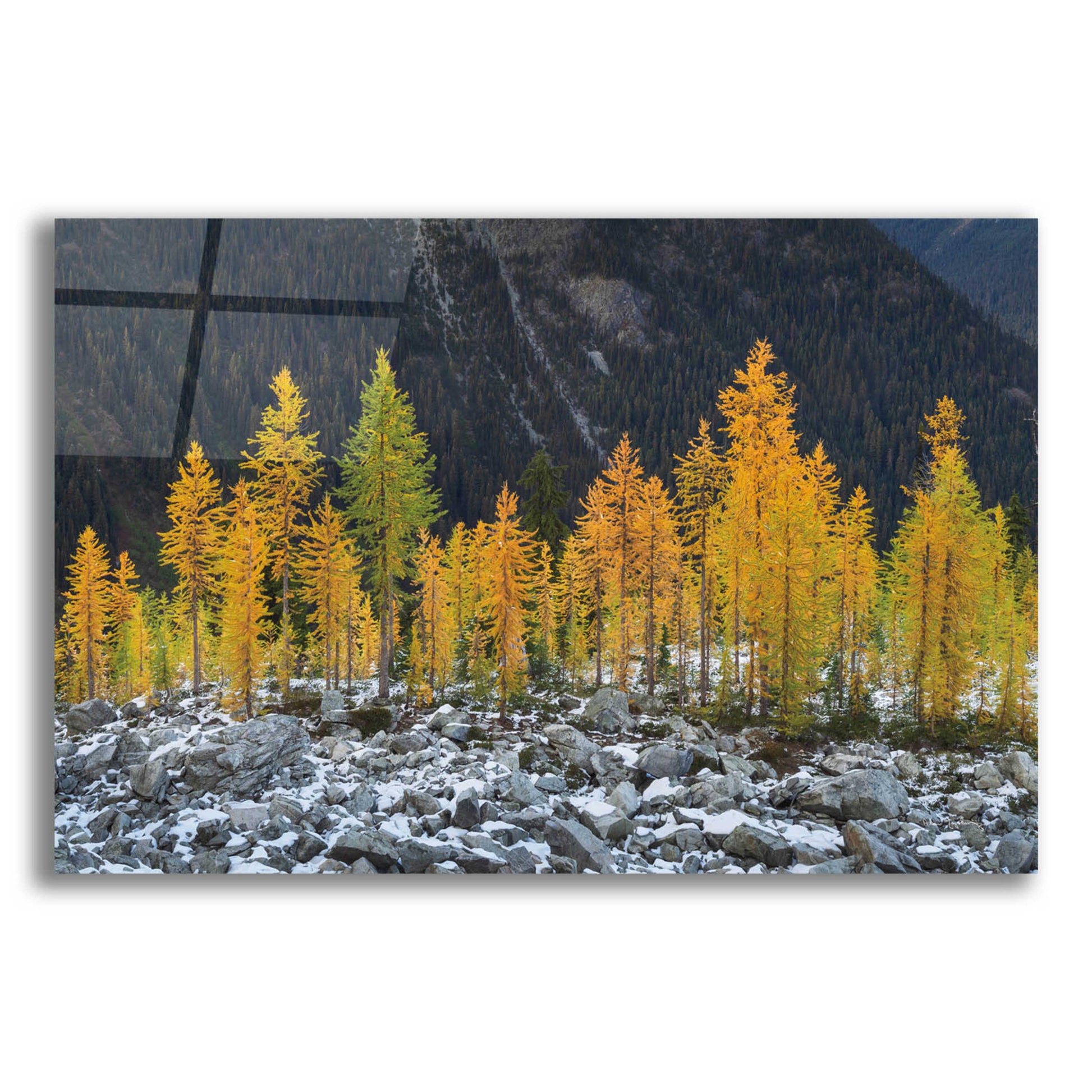 Epic Art 'Alpine Larches North Cascades' by Alan Majchrowicz, Acrylic Glass Wall Art,16x12