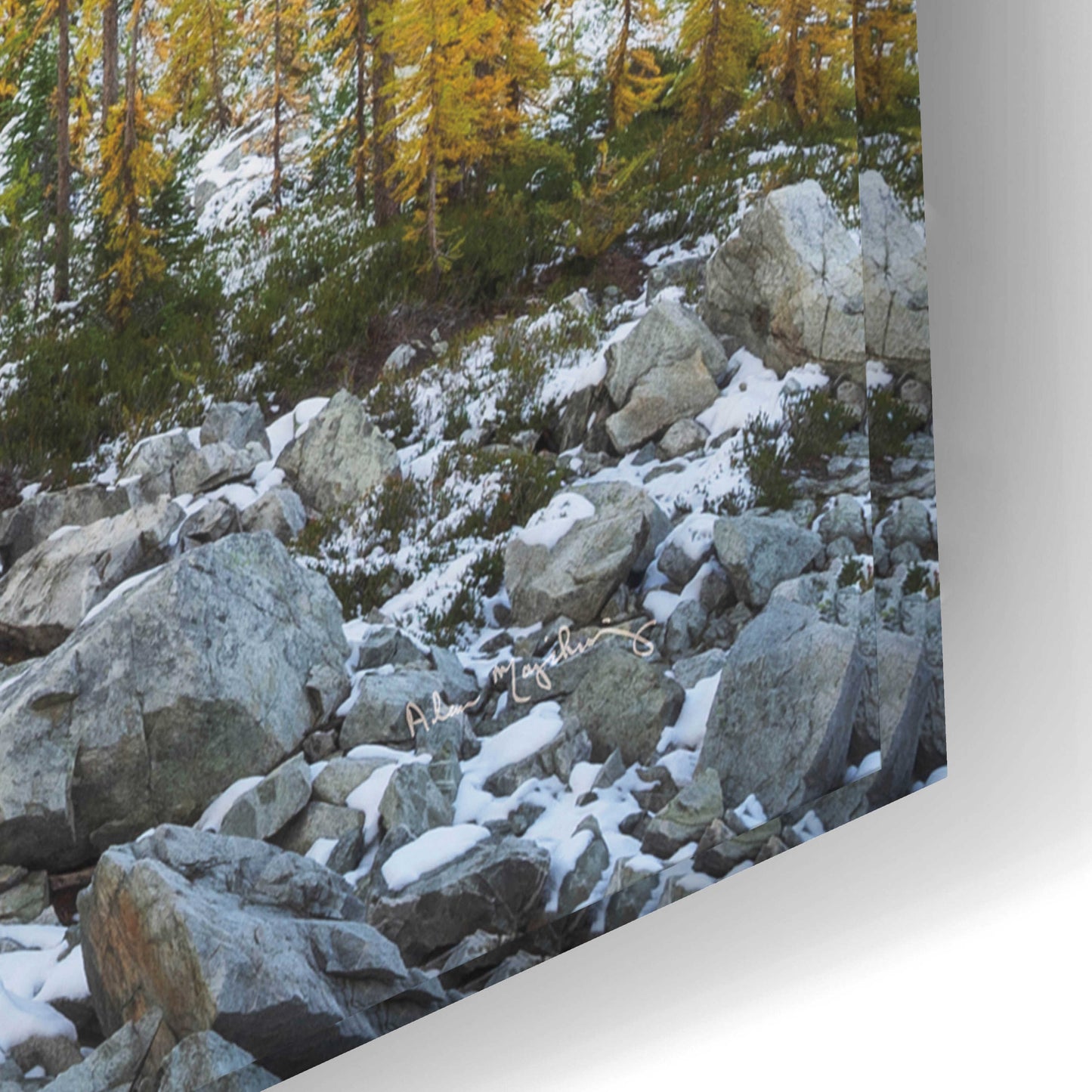 Epic Art 'Alpine Larches North Cascades' by Alan Majchrowicz, Acrylic Glass Wall Art,24x16