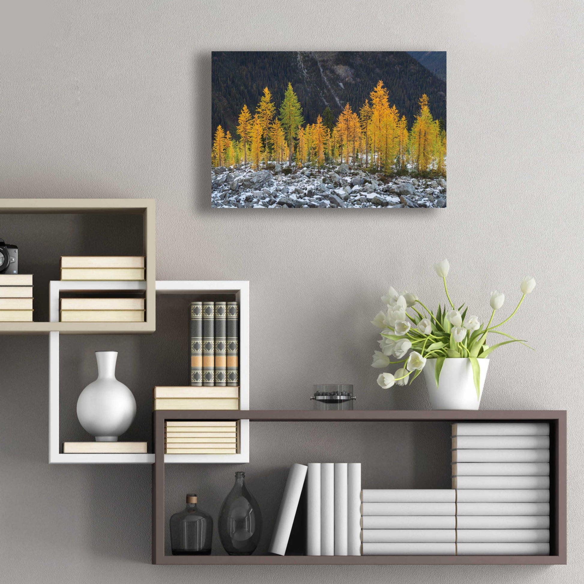 Epic Art 'Alpine Larches North Cascades' by Alan Majchrowicz, Acrylic Glass Wall Art,24x16