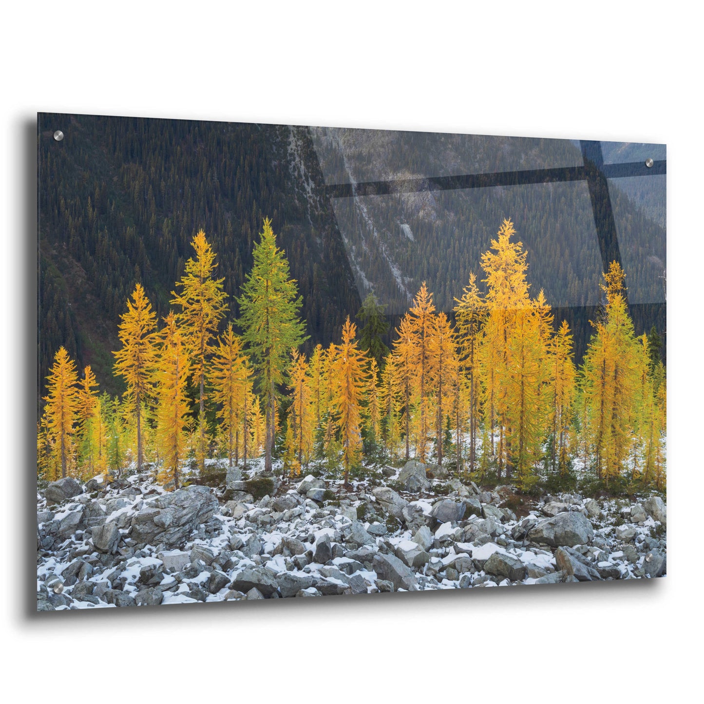 Epic Art 'Alpine Larches North Cascades' by Alan Majchrowicz, Acrylic Glass Wall Art,36x24