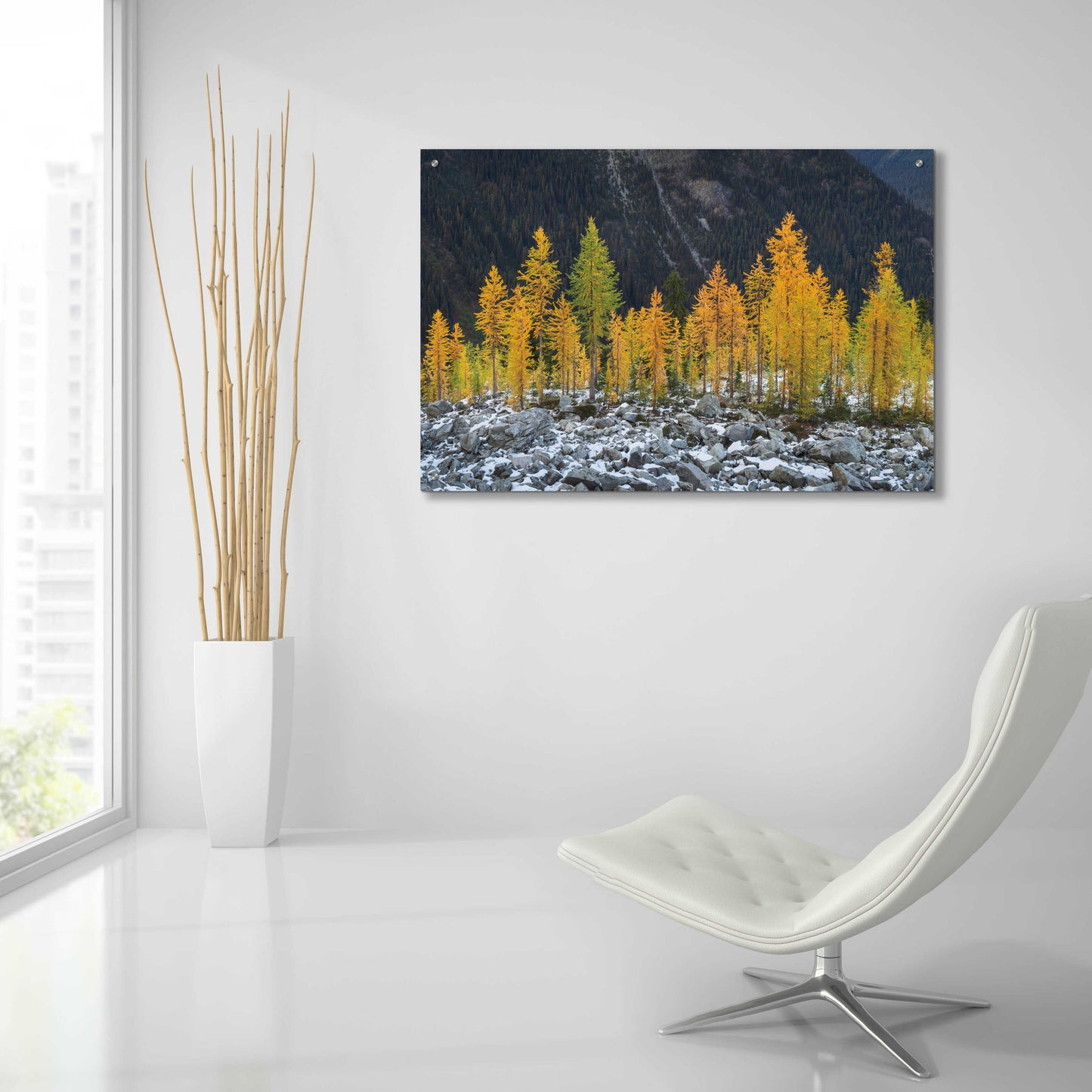 Epic Art 'Alpine Larches North Cascades' by Alan Majchrowicz, Acrylic Glass Wall Art,36x24