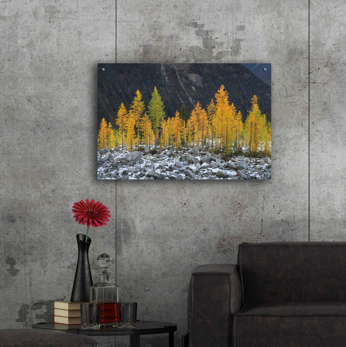 Epic Art 'Alpine Larches North Cascades' by Alan Majchrowicz, Acrylic Glass Wall Art,36x24