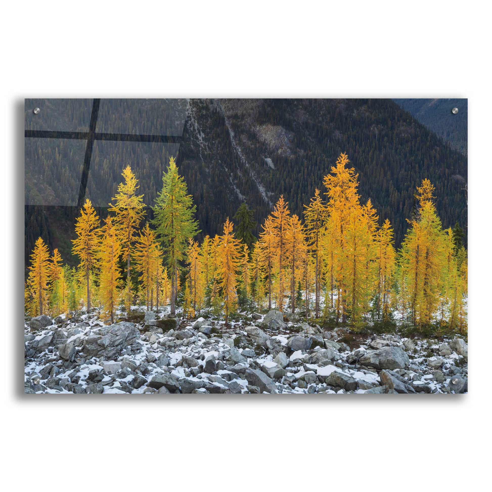 Epic Art 'Alpine Larches North Cascades' by Alan Majchrowicz, Acrylic Glass Wall Art,36x24