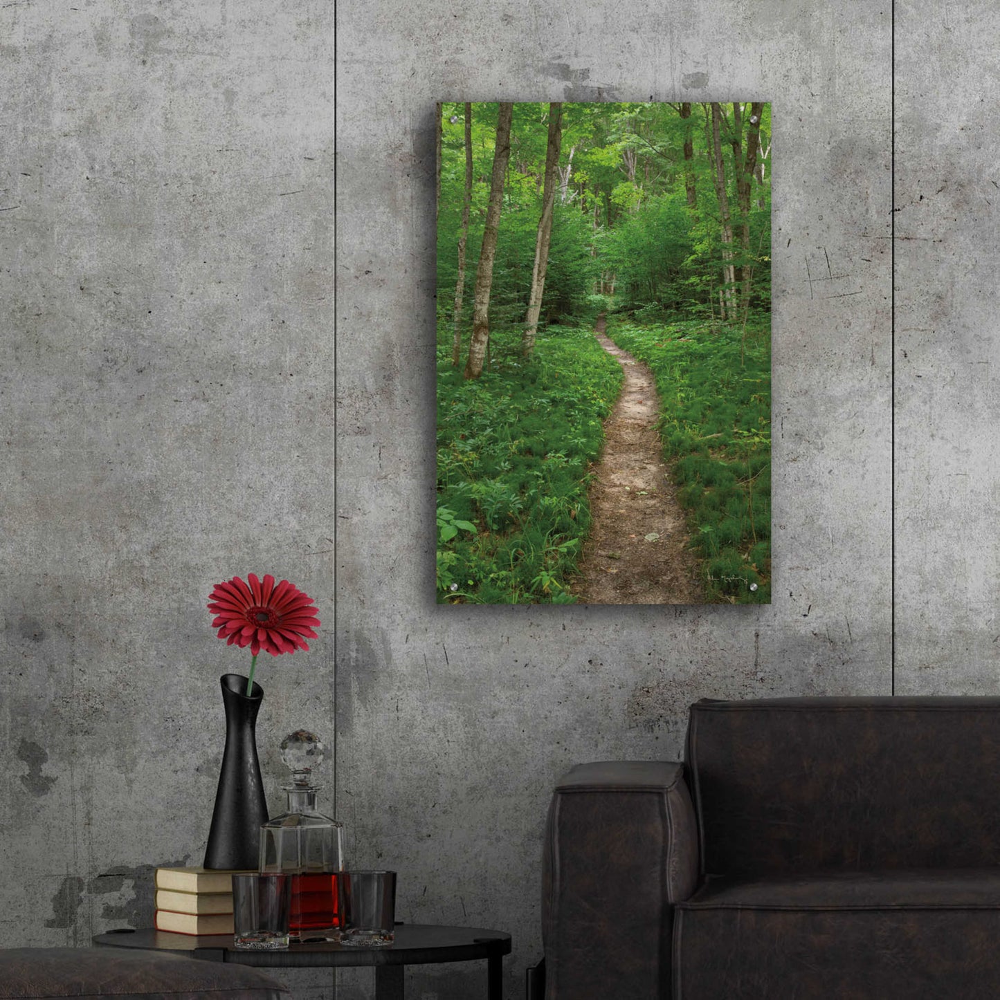 Epic Art 'North Country Trail' by Alan Majchrowicz, Acrylic Glass Wall Art,24x36