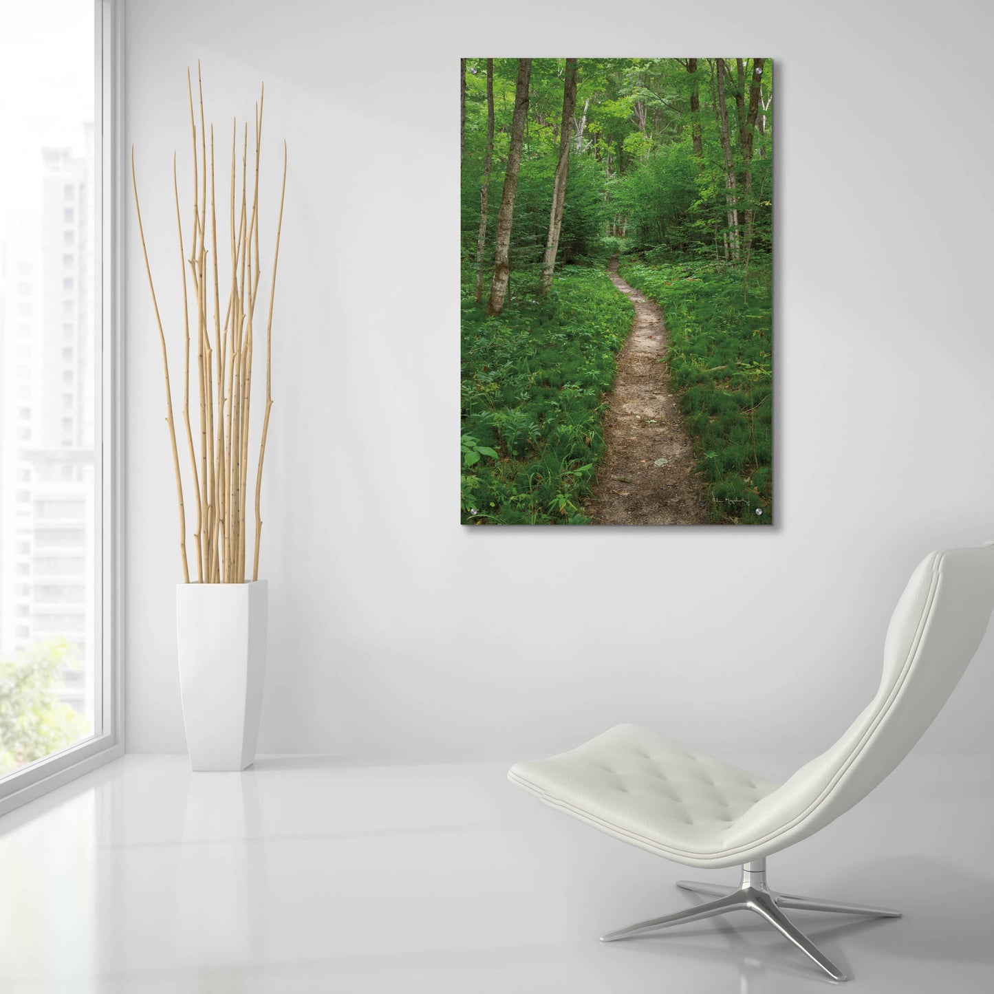 Epic Art 'North Country Trail' by Alan Majchrowicz, Acrylic Glass Wall Art,24x36