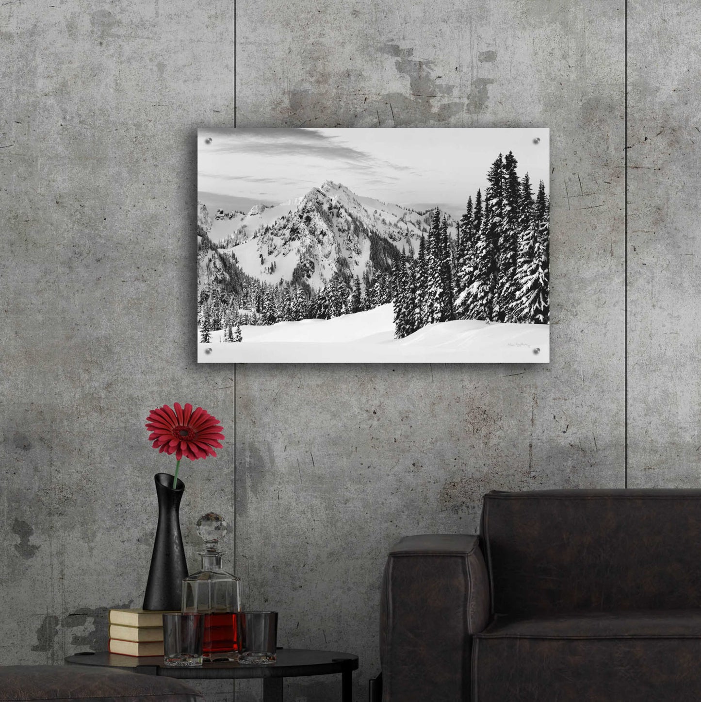 Epic Art 'Tatoosh Range BW' by Alan Majchrowicz, Acrylic Glass Wall Art,36x24