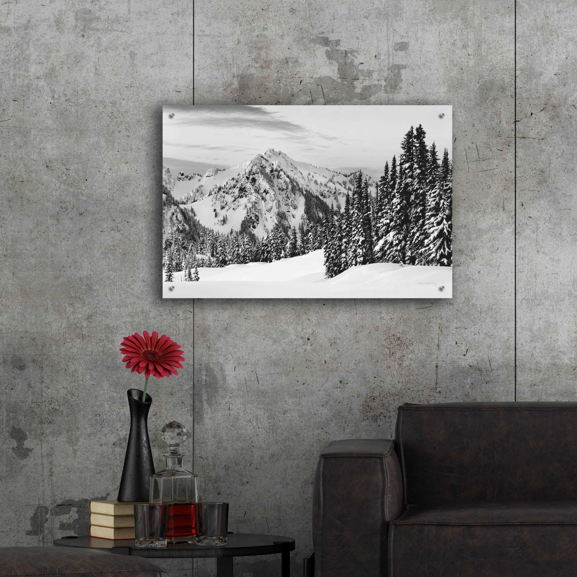 Epic Art 'Tatoosh Range BW' by Alan Majchrowicz, Acrylic Glass Wall Art,36x24