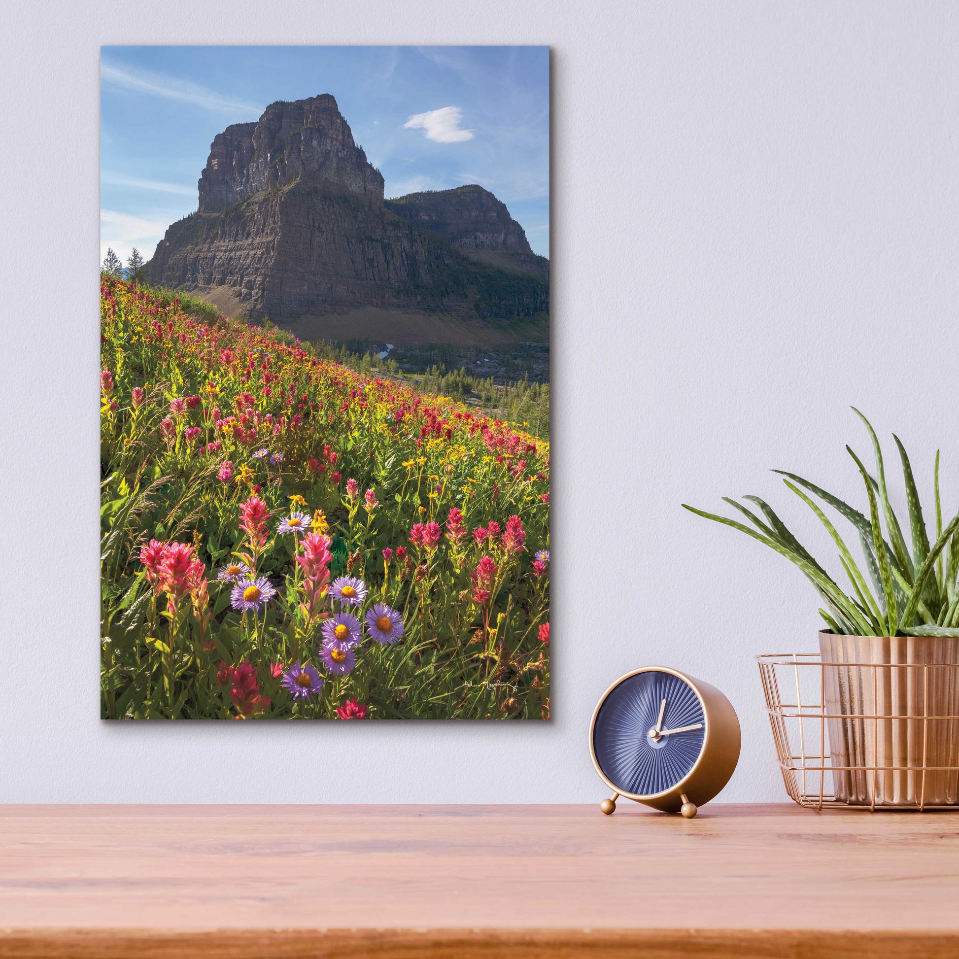 Epic Art 'Boulder Pass Wildflowers' by Alan Majchrowicz, Acrylic Glass Wall Art,12x16