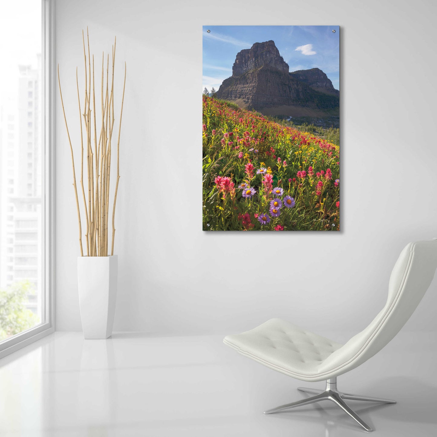 Epic Art 'Boulder Pass Wildflowers' by Alan Majchrowicz, Acrylic Glass Wall Art,24x36