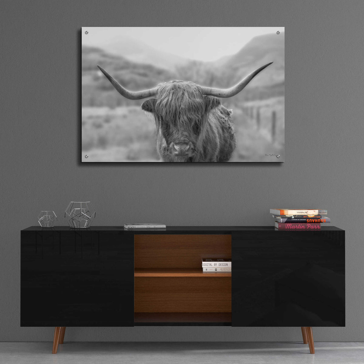 Epic Art 'Scottish Highland Cattle III Neutral Crop' by Alan Majchrowicz, Acrylic Glass Wall Art,36x24