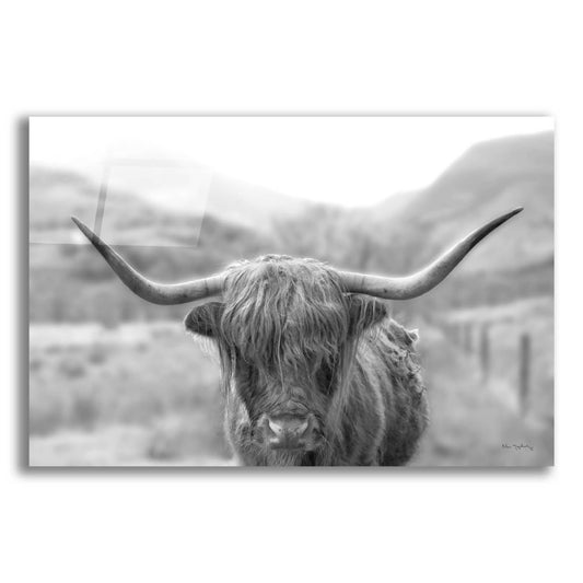 Epic Art 'Scottish Highland Cattle III Neutral Crop' by Alan Majchrowicz, Acrylic Glass Wall Art